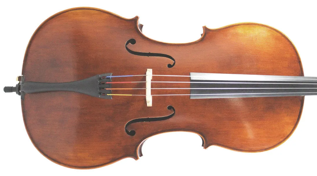 Eastman Concertante Antiqued Cello Only
