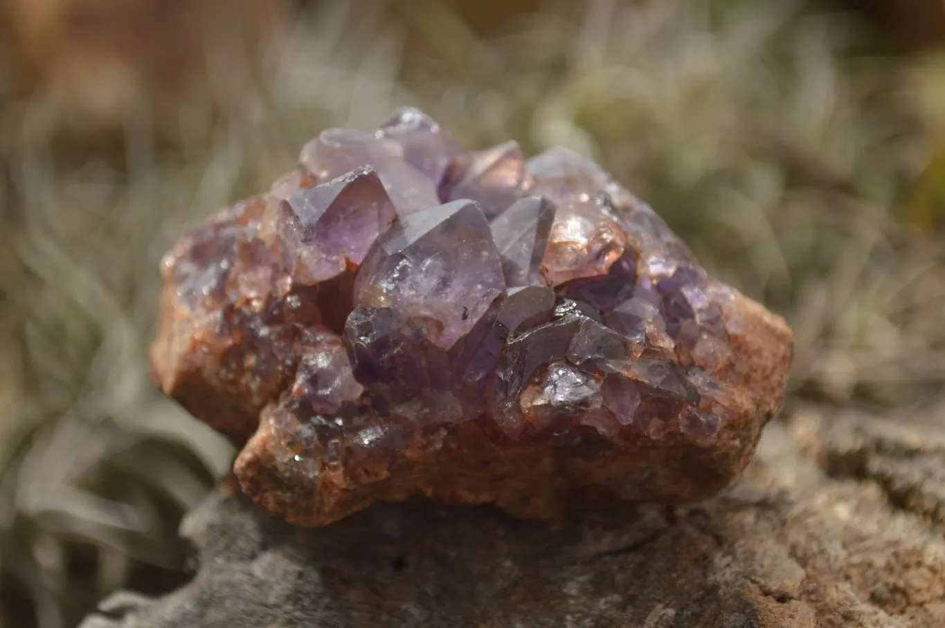 Natural Amethyst & Crystal Centered Geodes x 24 From Zululand, South Africa