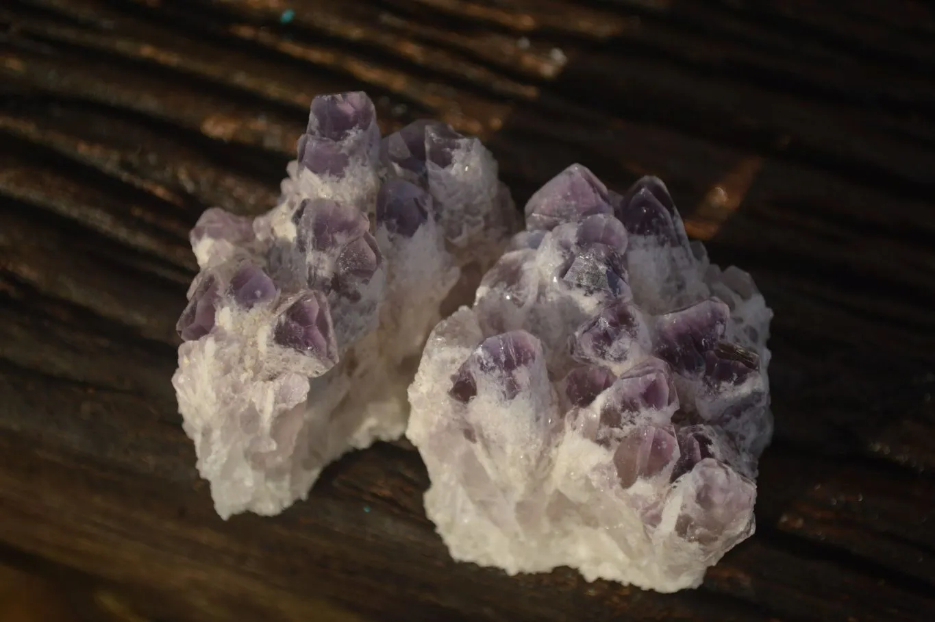 Natural Sugar Amethyst Clusters  x 6 From Solwezi, Zambia